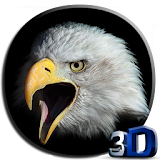 Eagle 3D Video Live Wallpaper icon