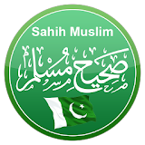 Sahih Muslim صحیح مسلم icon