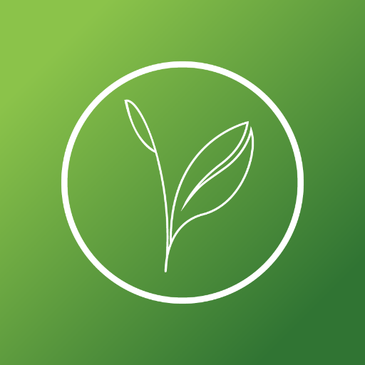 Kijani Forestry logo