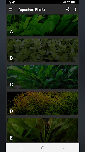 Dim Aquascaping Plants Pro