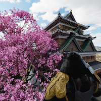 脱出ゲーム 安土桃山時代 春桜綺麗な小牧山城