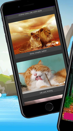 Animals and Nature - HD Photo Screen 3