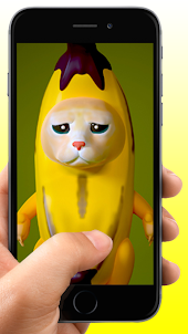 Banana Cat Video Call Meme