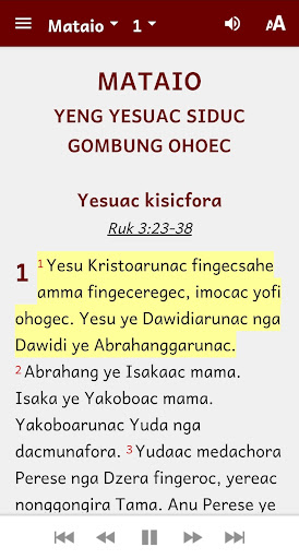 Dedua Bible Screen 3