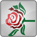 Ivy Rose Music icon