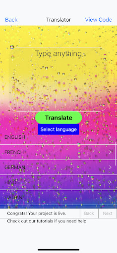 Translator App Screen 2