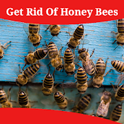 How To Get Rid Of Honey Bees