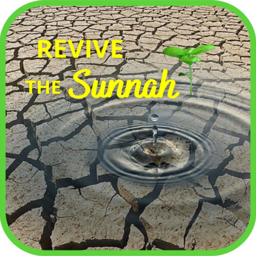 Revive The Sunnah  Icon