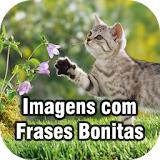 Imagens com Frases Bonitas icon