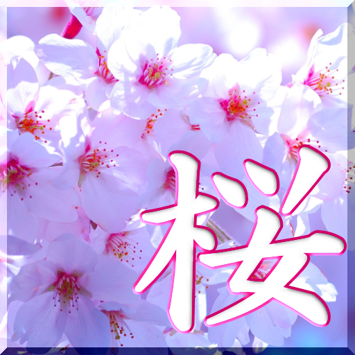 神経衰弱 桜