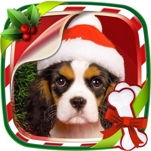 Christmas Animals Live Wallpap 1.2 Icon