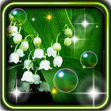 Springs Lilies Flowers icon