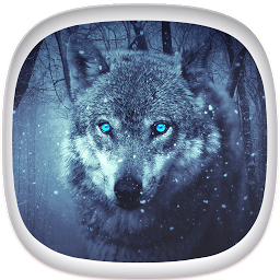 Icon image Wolf Wallpapers