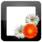 Cover Image of Download PhotoFrames Pro  APK