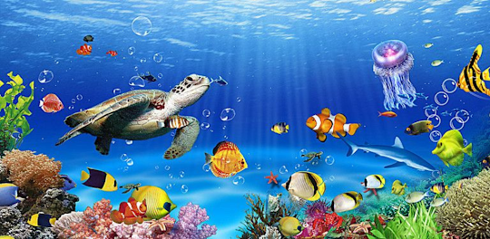 Ocean Fish Live Wallpaper HD