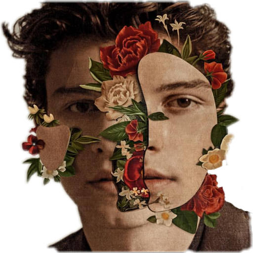 Shawn Mendes Quotes and Lyrics Download on Windows