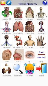 Captura de Pantalla 5 Visual Anatomy android