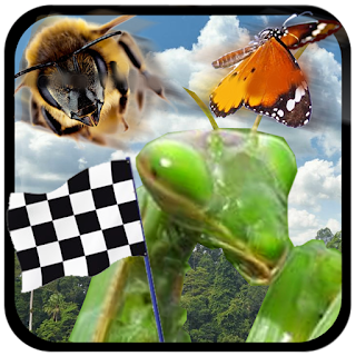 Insect Race apk