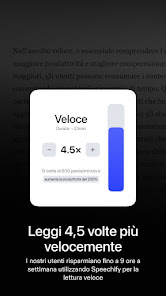 Immagine screenshot