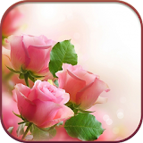 HD Vintage Roses Wallpaper icon