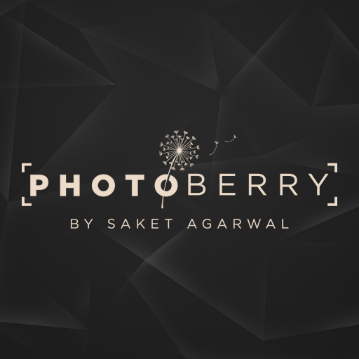 Photoberry by Saket logo