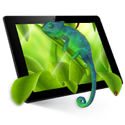 Chameleon 3D Live Wallpaper MOD