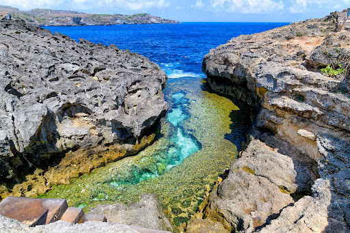 NUSA PENIDA TRIP Screen 2