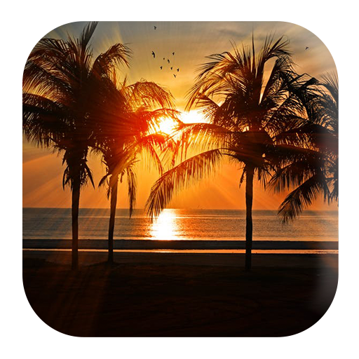Seaside Sounds logo