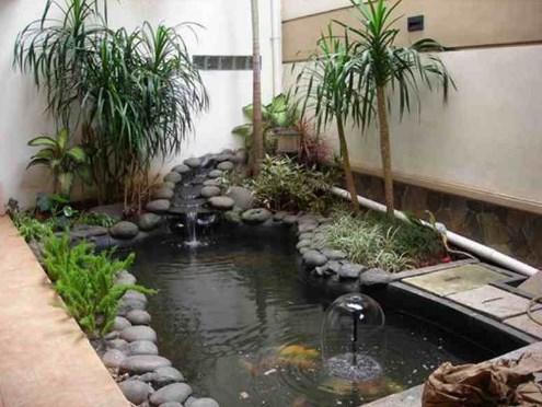 Fish Of Ponds Design Screenshot 3 - AppWisp.com
