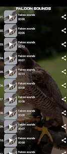 Falcon sounds
