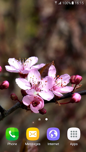 Springtime Live Wallpaper