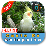 Top 30 Music & Audio Apps Like Canto De Calopsita - Best Alternatives
