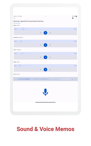 Screenshot of Voice Notes & Voice Memo +