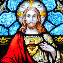Icon image Prayer to the Sacred Heart of 