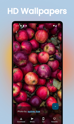 Walpix - 4K & HD Wallpapers Screen 2