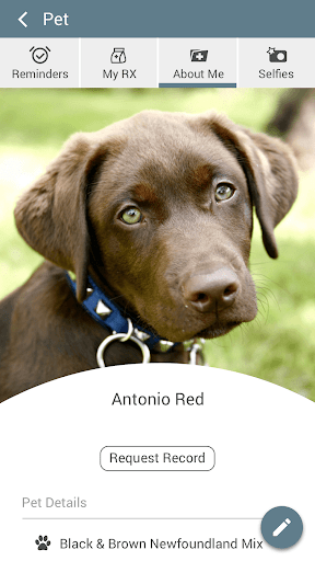 Branchs Vet Clinic Nashville