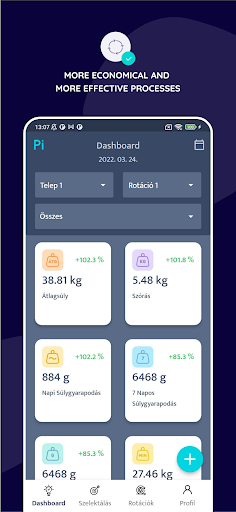 PigFlow Screen 2