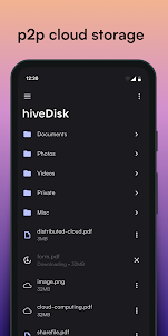 hiveDisk