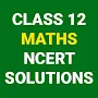CLASS 12 MATHS NCERT SOLUTIONS