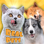 Real Pets: A pet on your phone