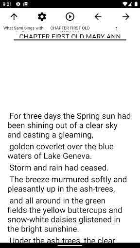Book, What Sami Sings with the Screen 2
