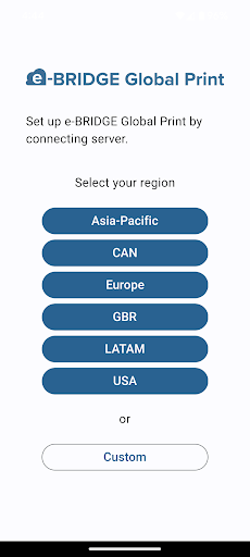 e-BRIDGE Global Print Screen 2