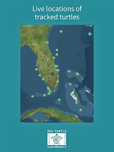 STC Turtle Tracker APK for Android Download (Unlocked) 5