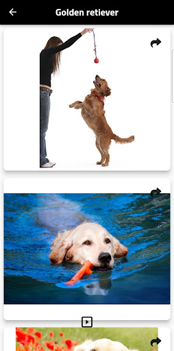 Android application dog screenshort