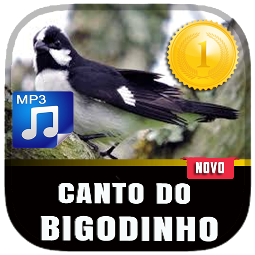 Canto De Bigodinho 2020 Novo Install on Windows
