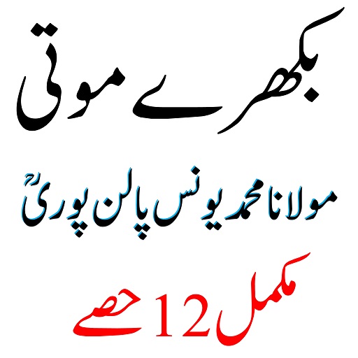 Bikhray Moti بکھرے موتی logo