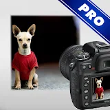 DSLR Camera - Photo Guide icon