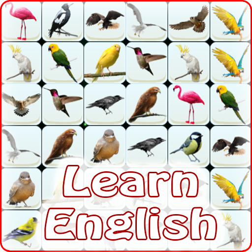 Onet Bird: Learn English 1.0 Icon