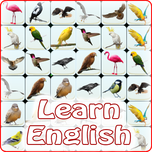 Onet Bird Learn English