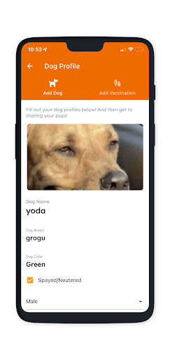Fetch Park Mobile Screen 2